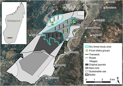 Human-Lemur Coexistence in a Multiple-Use Landscape